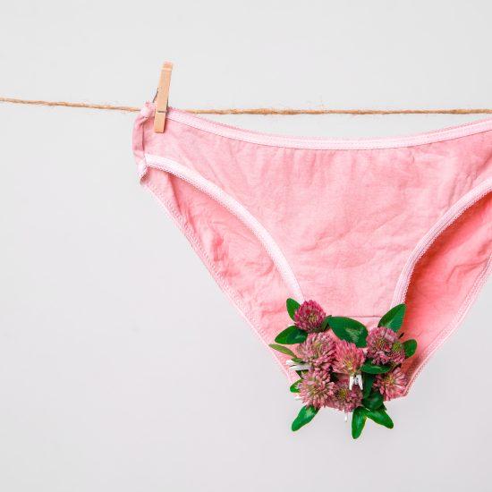 Pink Women's Underwear Decorated With Flowers On Clothesline Isolated On White, Concept Photography For Feminist Blog